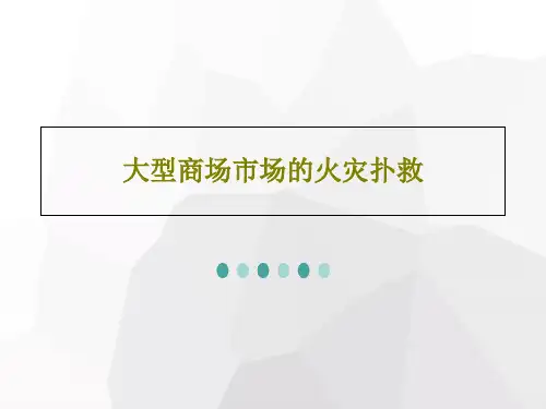 大型商场市场的火灾扑救共111页