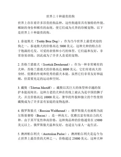 世界上十种最贵的狗