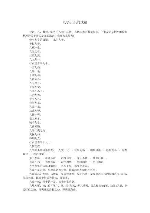 九字开头的成语
