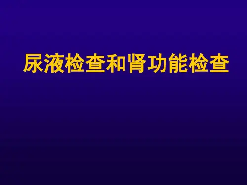 诊断学肾功能和尿液检查ppt课件