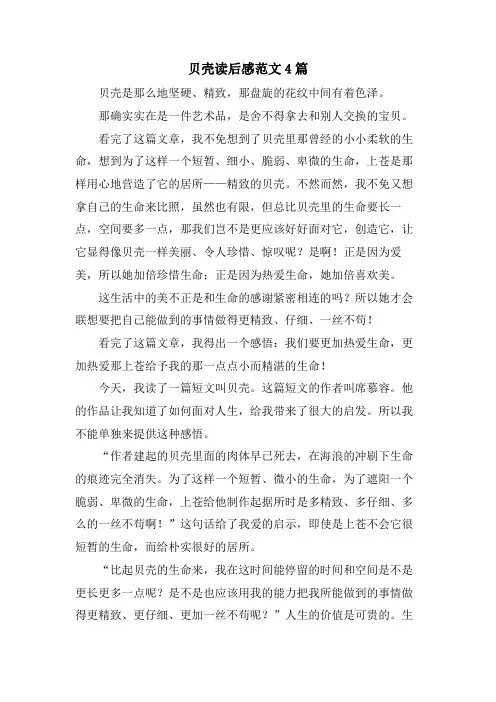贝壳读后感范文4篇