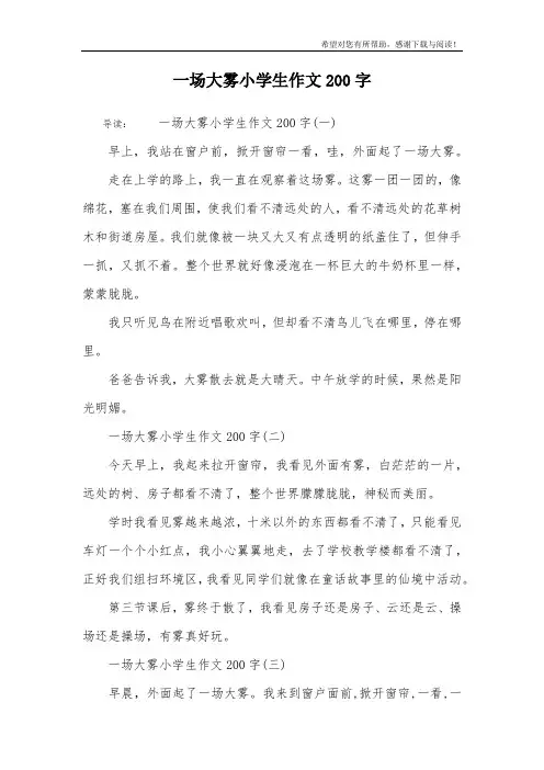 一场大雾小学生作文200字