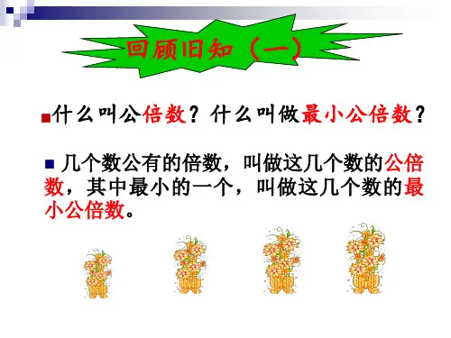 课件-求两个数的最小公倍数 (2)