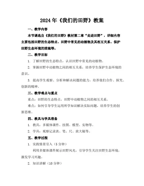 2024年《我们的田野》教案