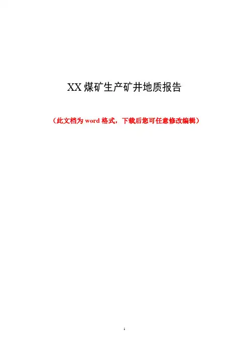 某某煤矿生产矿井地质报告