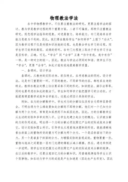物理教法学法