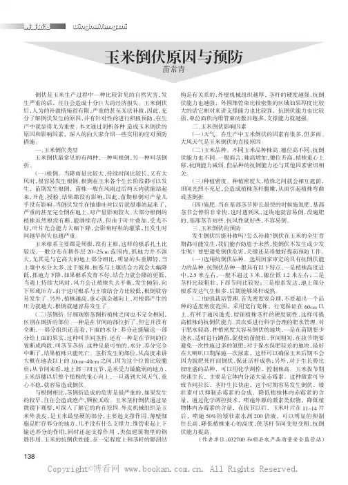 玉米倒伏原因与预防