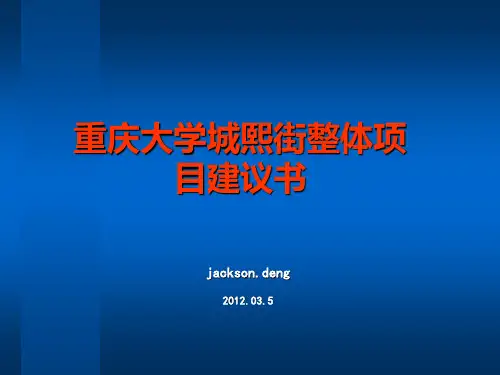 重庆大学城熙街整体建议书