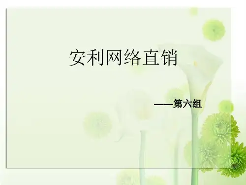 安利直销模式案例分析ppt