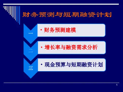 增长率与融资需求分析