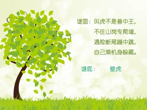 西南师大版四年级语文下册《三单元  10 飞檐走壁的虎将》课件_12