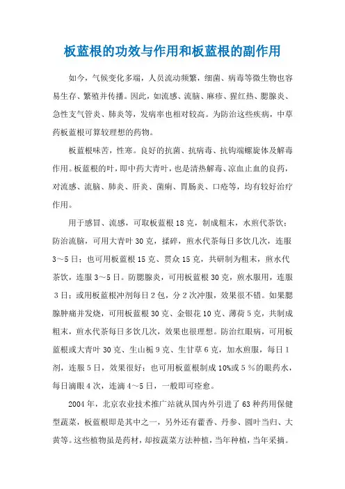 板蓝根的功效与作用和板蓝根的副作用
