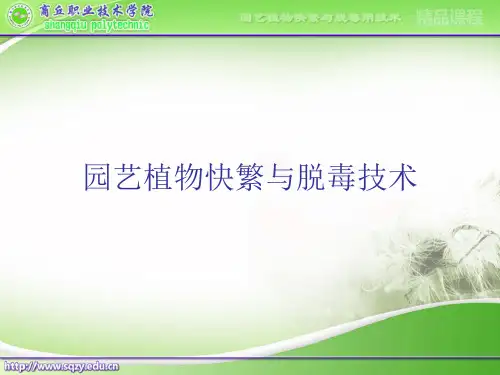 任务五：试管苗的驯化与移栽综述
