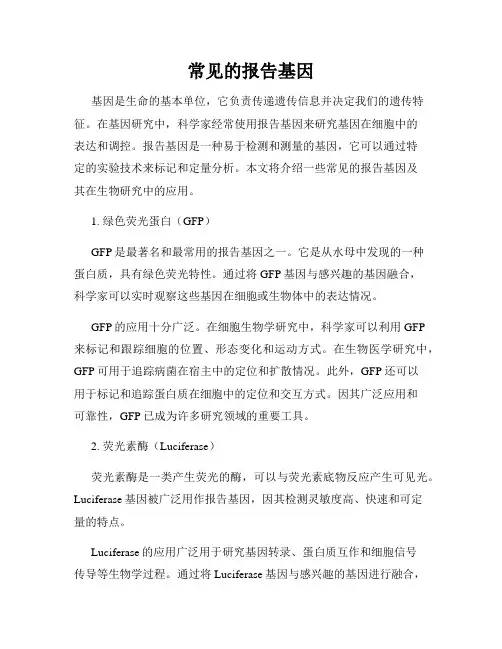 常见的报告基因