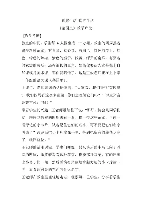 菜园里(教学案例)