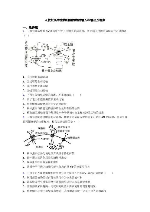 人教版高中生物细胞的物质输入和输出及答案