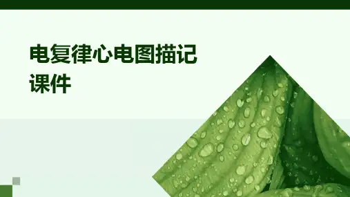 电复律心电图描记课件