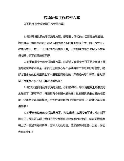 专项治理工作专班方案