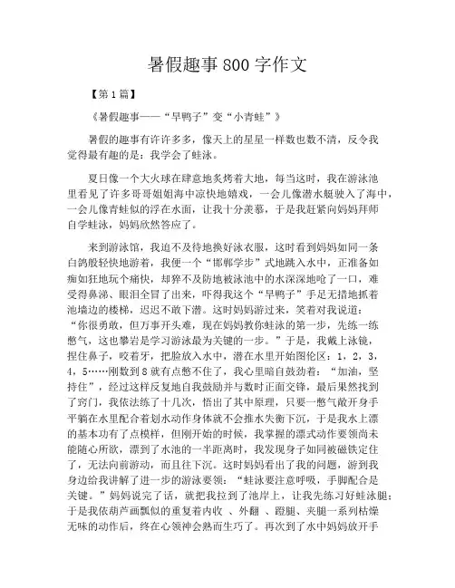 暑假趣事800字作文