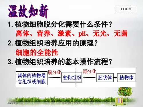 2-2-1 动物细胞培养和核移植技术(第一课时)