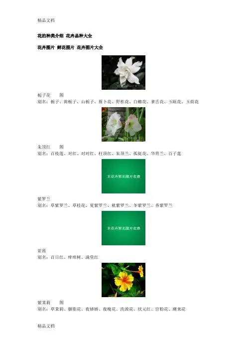 (整理)花卉介绍【附图】
