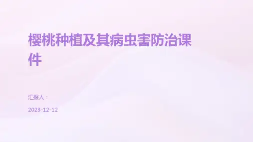 樱桃种植及其病虫害防治课件