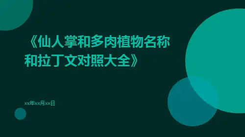 仙人掌和多肉植物名称和拉丁文对照大全