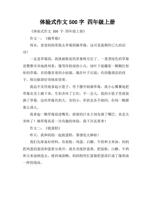 体验式作文500字 四年级上册
