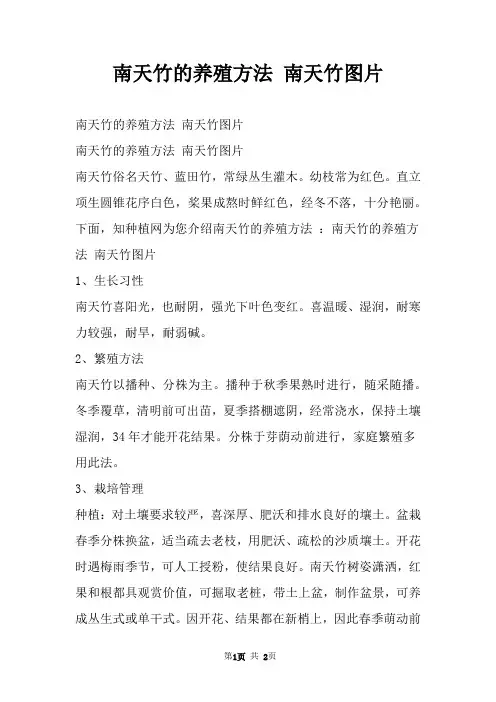 南天竹的养殖方法 南天竹图片