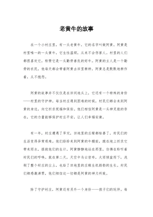 老黄牛的故事