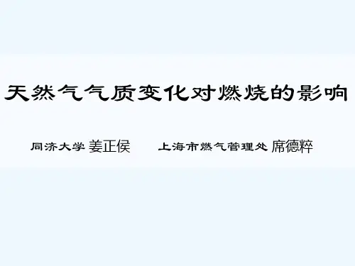 天然气燃烧特性