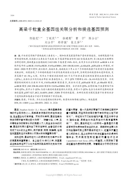 高粱千粒重全基因组关联分析和候选基因预测