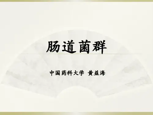 肠道菌群ppt课件