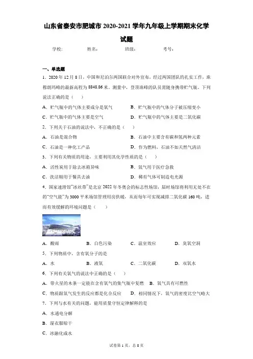 山东省泰安市肥城市2020-2021学年九年级上学期期末化学试题(word版含答案)