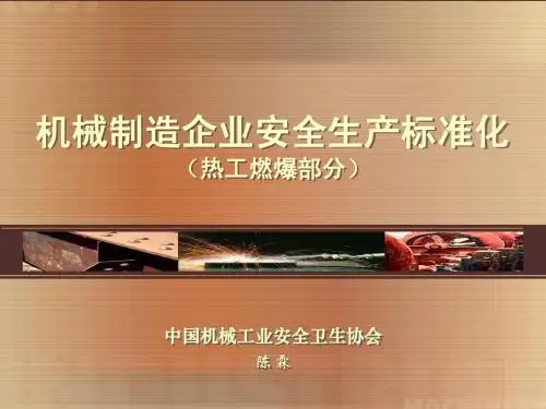 安全生产标准化燃爆讲座【02】201308)