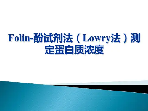 Folin-酚试剂法(Lowry法)测定蛋白质浓度