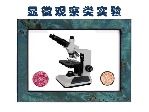 显微观察类实验
