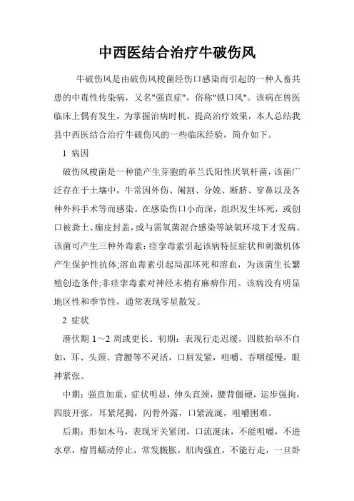 中西医结合治疗牛破伤风