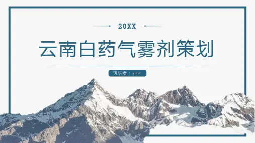 云南白药气雾剂策划