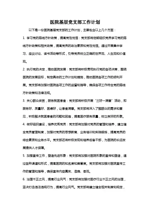 医院基层党支部工作计划