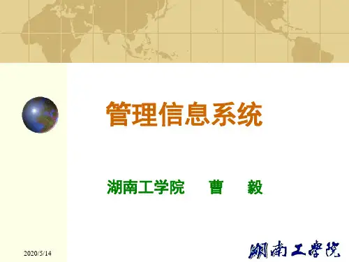 MIS的案例分析.ppt
