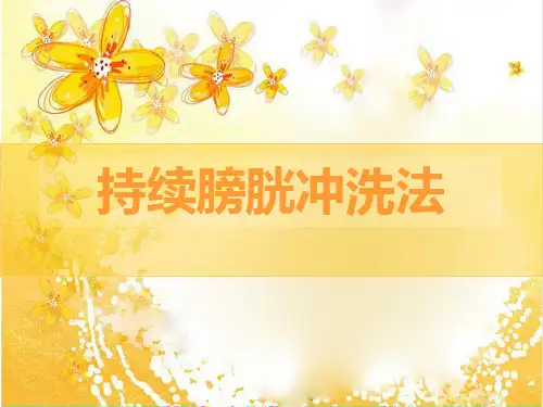 持续膀胱冲洗法课件