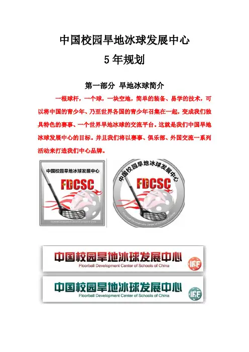 旱地冰球的发展