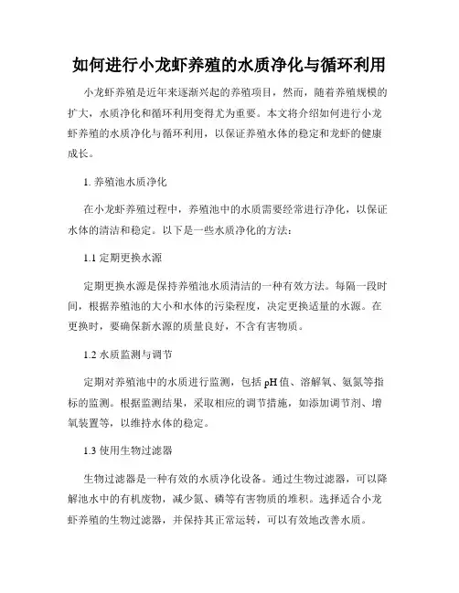 如何进行小龙虾养殖的水质净化与循环利用
