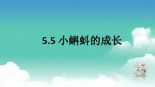 北师大版二年级下数学 5.5 小蝌蚪的成长 PPT