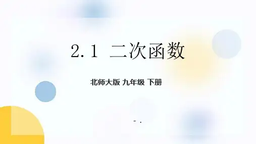 《二次函数》PPT优质课件