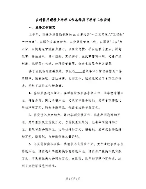 农村信用联社上半年工作总结及下半年工作安排（2篇）