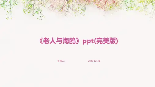 《老人与海鸥》ppt(完美版)