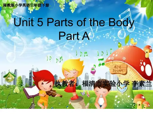 三年级下册英语课件-Unit5 Parts of the body A∣闽教版 (共38张PPT)