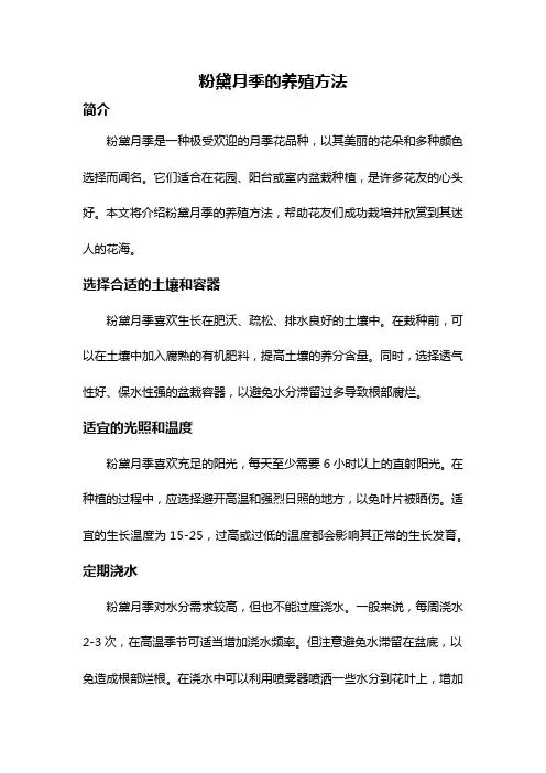 粉黛月季的养殖方法